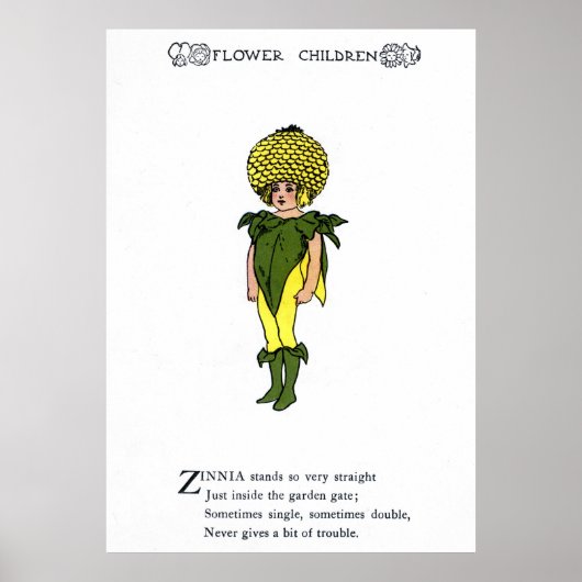 Poster Zinnia (Devant)