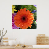 Poster Zinnia (Cuisine)