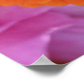 Poster Zinnia (Coin)