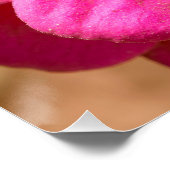 Poster Zinnia Elegans rose (Coin)