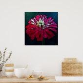 Poster Zinnia en plumes (Cuisine)