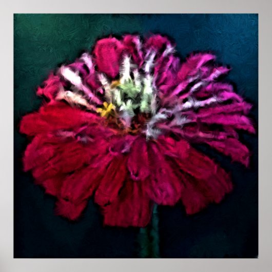 Poster Zinnia en plumes (Devant)