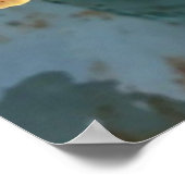 Poster Zinnia Queen Lime Blush (Coin)