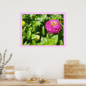Poster Zinnia rose frappant (Cuisine)