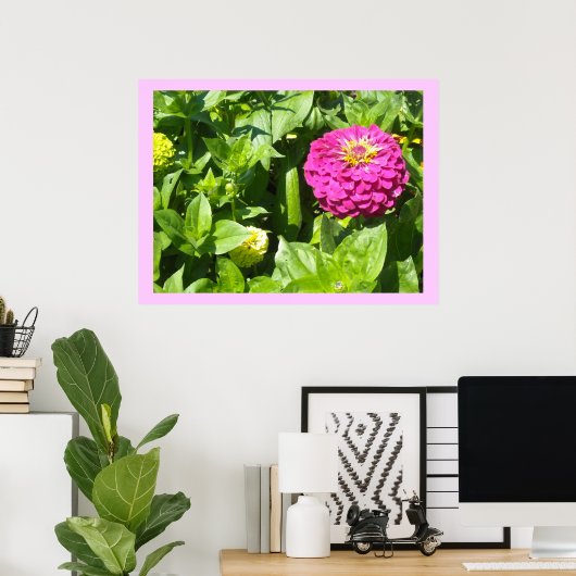 Poster Zinnia rose frappant (Bureau à domicile)