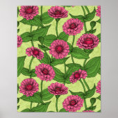 Poster Zinnias rose sur vert clair (Devant)