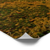 Poster zion angels atterrissant à l'affiche de l'aube DE  (Coin)