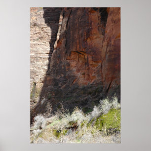 Poster Zion Canyon