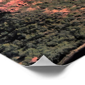 Poster Zion Canyon (Coin)