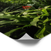 Poster Zip-Lining Jungle Canopy (Coin)
