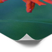 Poster Zippy Zinnia (Coin)