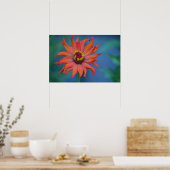 Poster Zippy Zinnia (Cuisine)