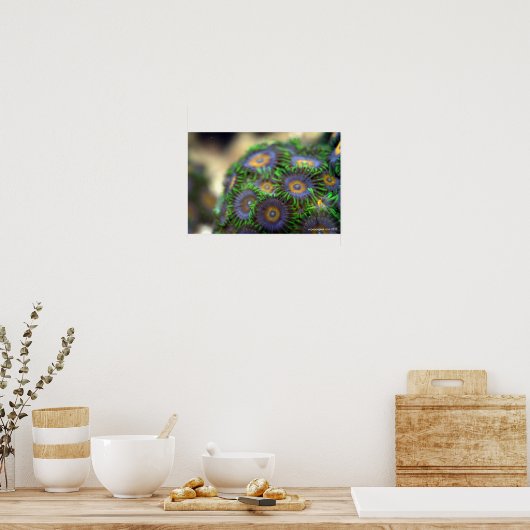 Poster Zoanthid Coral 1 (Cuisine)