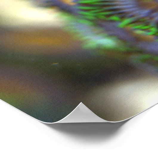 Poster Zoanthid Coral 1 (Coin)