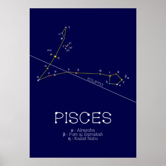 Poster Zodiaque Pisces (Devant)