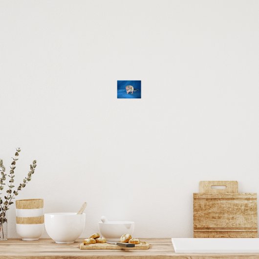 Poster Zoé (Cuisine)