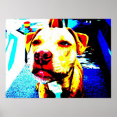 Poster zoe postérifiée (Devant)