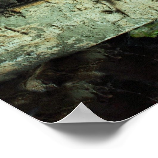 Poster zombies devant une fenêtre (Coin)