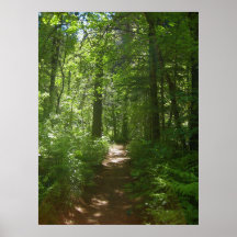 Poster zomerdagen (6)