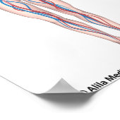 Poster zonder keurmerk voor menselijk bloedsomloop (Hoek)