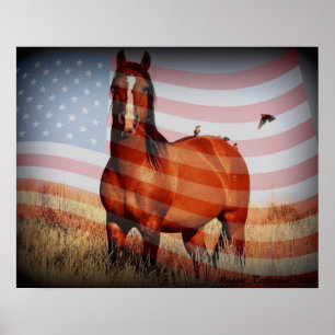 Poster (zonder lettertype)