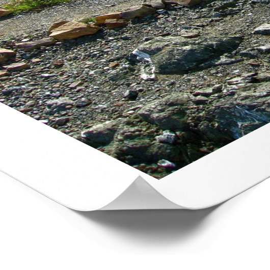 Poster Zone de baie SF (Coin)