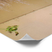 Poster Zone de fenêtre Charleston historique (Coin)