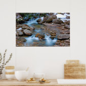 Poster Zone de Tea Creek de Williams River (Cuisine)