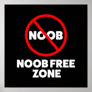 Poster Zone libre Noob