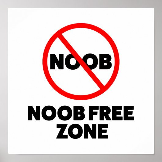 Poster Zone libre Noob (Devant)