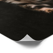 Poster Zones de léopard de chat domestique (Coin)