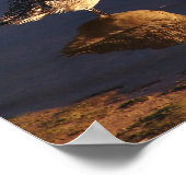 Poster Zones humides Godwit Oiseau Dieu vous gardera impr (Coin)