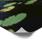 Poster / Zones humides, Okefenokee NWR (Coin)