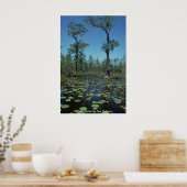 Poster / Zones humides, Okefenokee NWR (Cuisine)