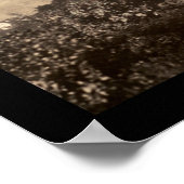 Poster Zoo à Pittsburgh (photo 1905) (Coin)