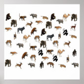 Poster Zoo Animaux (Devant)