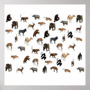 Poster Zoo Animaux