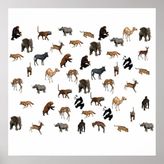Poster Zoo Animaux (Devant)
