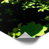 Poster Zoo de Central Park (Coin)