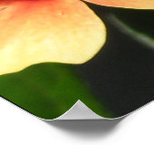 Poster Zoo de Détroit (Coin)