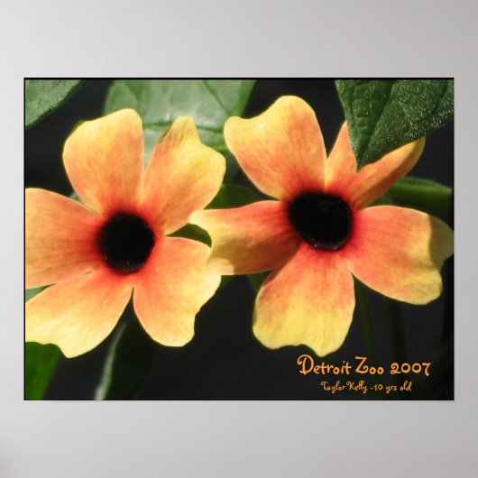 Poster Zoo de Détroit (Devant)