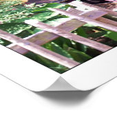 Poster Zoo de Jacksonville (Coin)