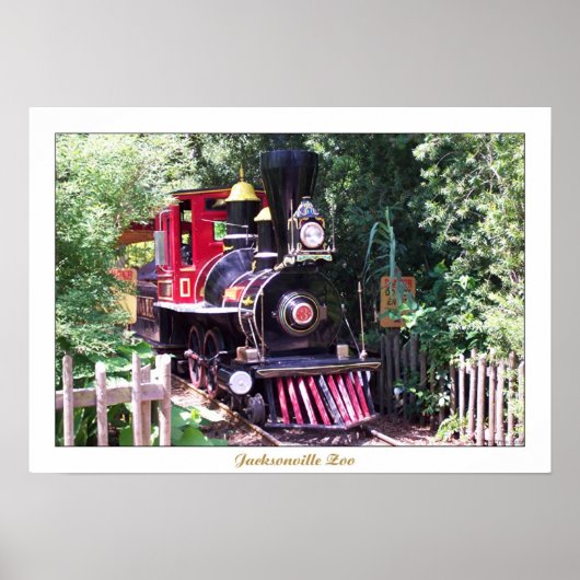 Poster Zoo de Jacksonville (Devant)