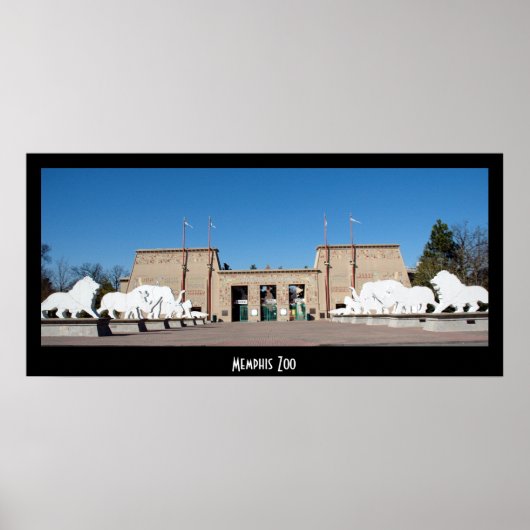 Poster Zoo de Memphis (Devant)
