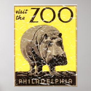 Poster Zoo de Philadelphie - Hippo en détresse