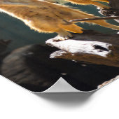 Poster Zoo des Plaines de l'Ouest de Taronga Dubbo - Meer (Coin)