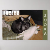 Poster Zooka 2007 (Devant)