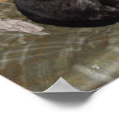 Poster Zooka 2007 (Coin)