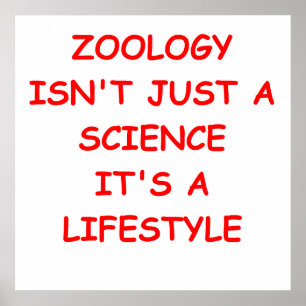 Poster zoologie