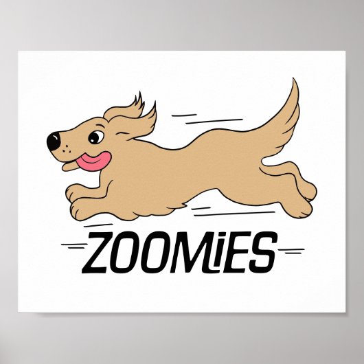 Poster Zooms de chien (Devant)